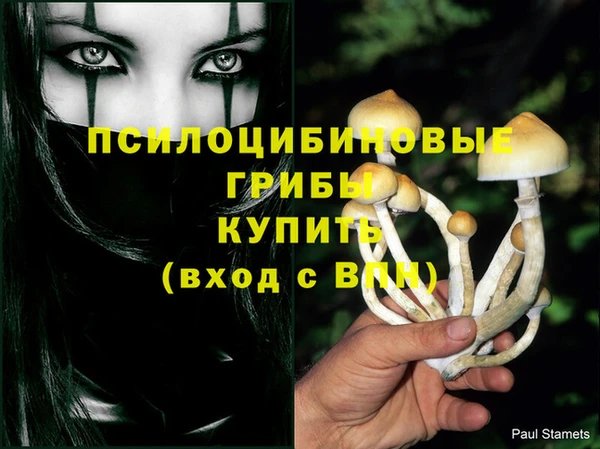 мдпв Белоозёрский
