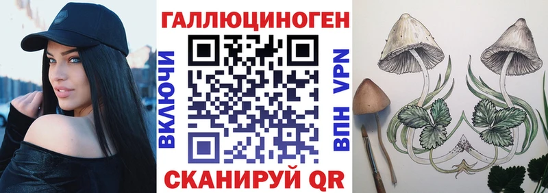 Псилоцибиновые грибы Cubensis  Лабинск 